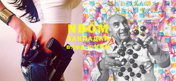 ГАЛЛЮЦИНОГЕННЫЕ ГРИБЫ Вяземский
