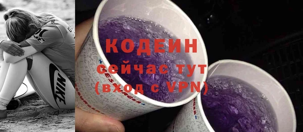 ГАЛЛЮЦИНОГЕННЫЕ ГРИБЫ Вяземский