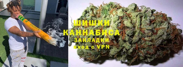 ГАЛЛЮЦИНОГЕННЫЕ ГРИБЫ Вяземский