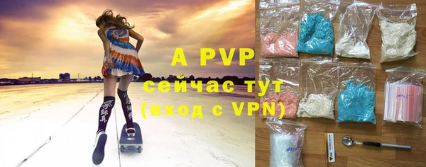 ГАЛЛЮЦИНОГЕННЫЕ ГРИБЫ Вяземский