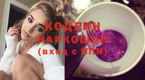ГАЛЛЮЦИНОГЕННЫЕ ГРИБЫ Вяземский