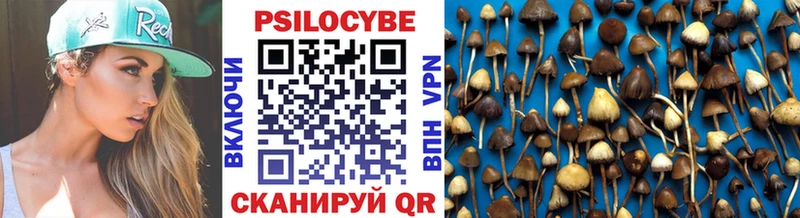Купить закладки Няндома Галлюциногенные грибы Magic Shrooms