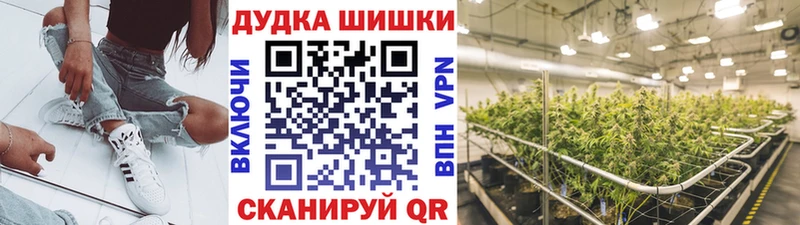 Купить где  Няндома  Марихуана ГИДРОПОН 